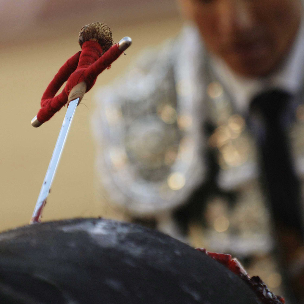 08/15/2005. Bullfighting, Feria of Beziers 2005.